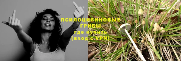 марки lsd Богородицк