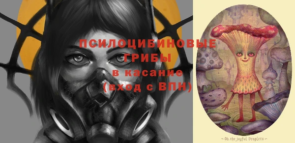 марки lsd Богородицк