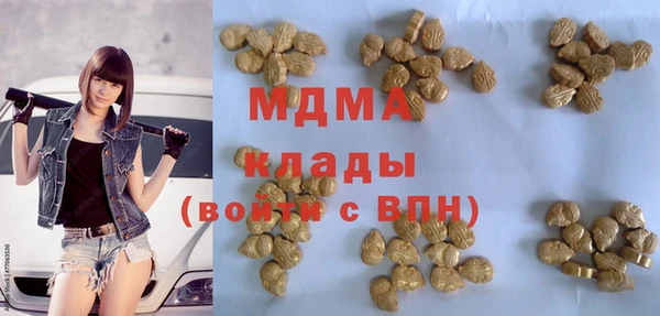бошки Белокуриха