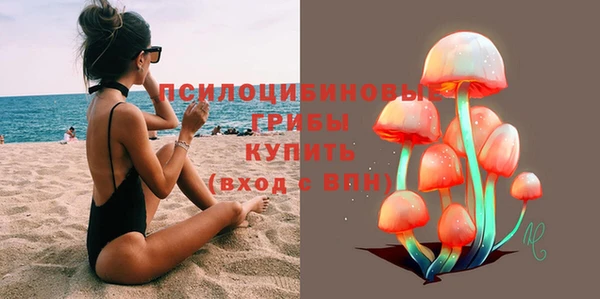 a pvp Богданович