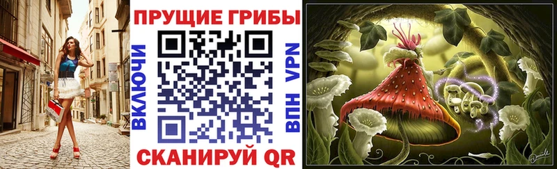 Псилоцибиновые грибы GOLDEN TEACHER  Нариманов 